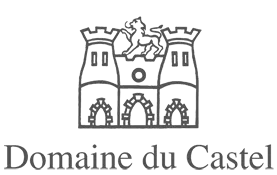 Logo castel