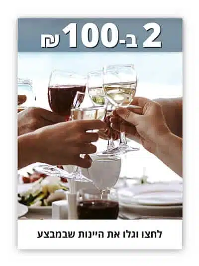 מבצעי יינות 2 ב 100